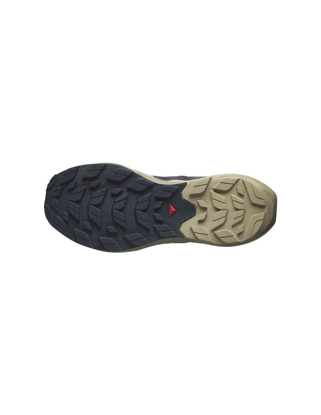 Chaussures de Montagne Salomon Elixir Activ Carbon/Brown Homme