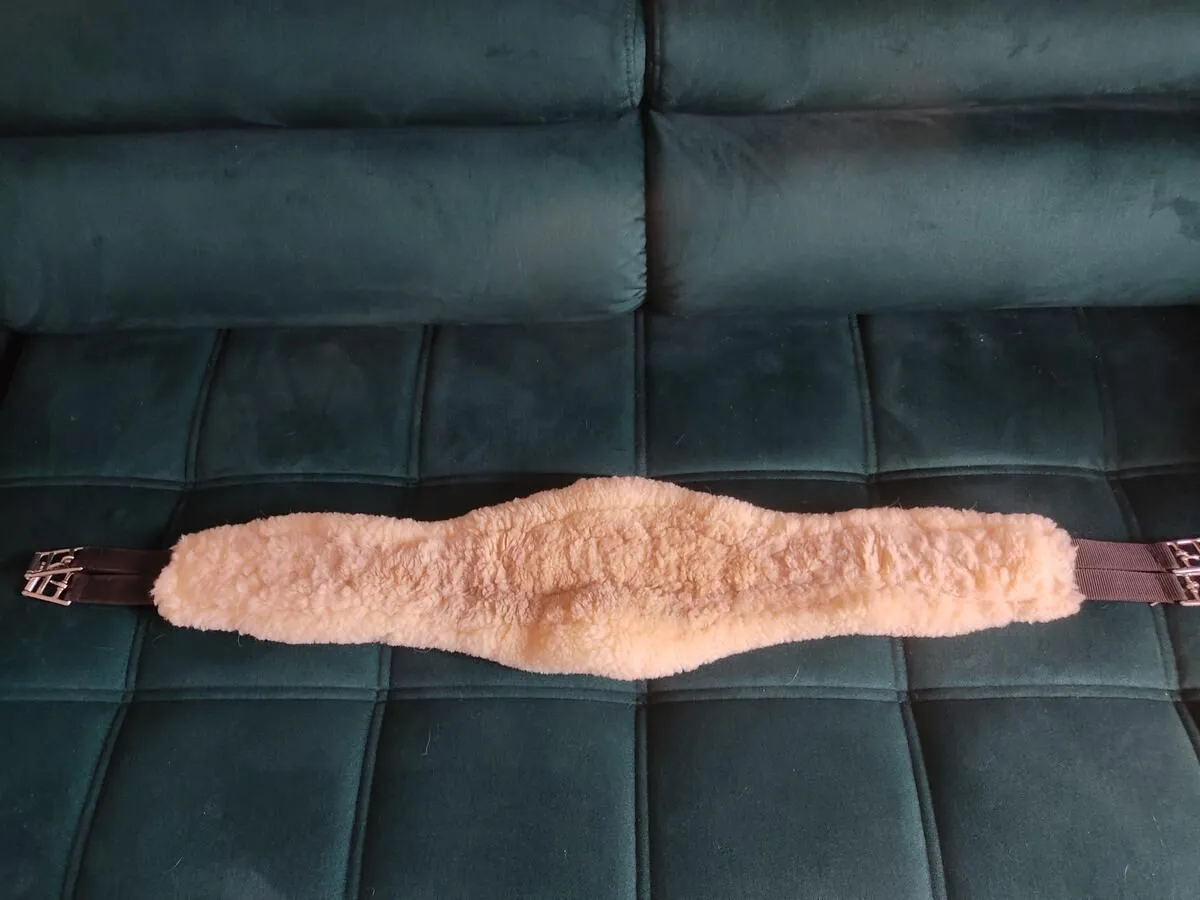 Sangle longue mouton